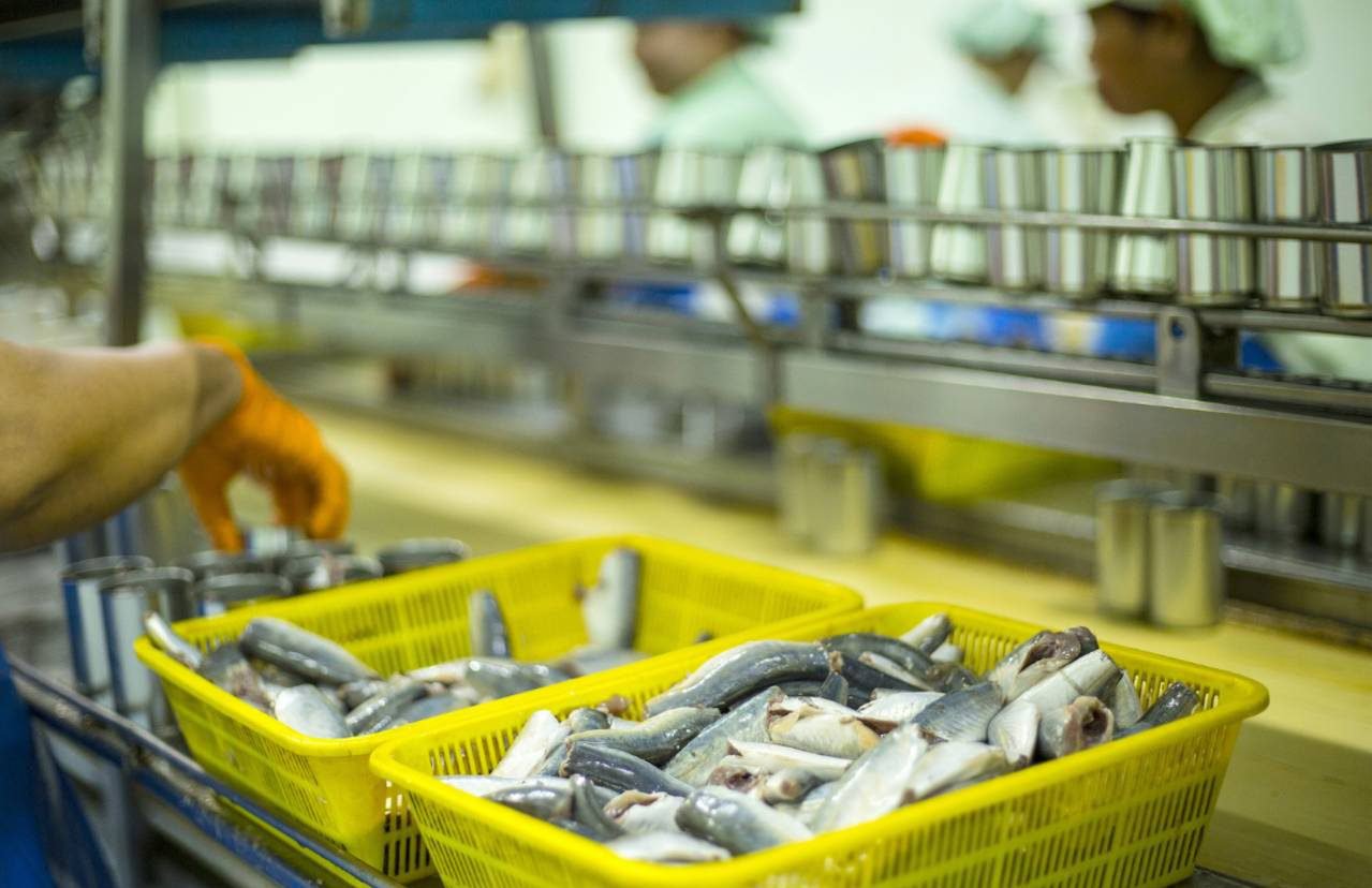 HACCP Plans – For Seafood and Juice Manufacturers