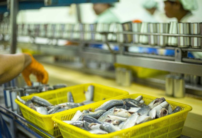 HACCP Plans – For Seafood and Juice Manufacturers